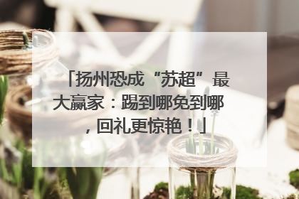 扬州恐成“苏超”最大赢家：踢到哪免到哪，回礼更惊艳！