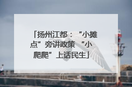 扬州江都：“小摊点”旁讲政策 “小爬爬”上话民生