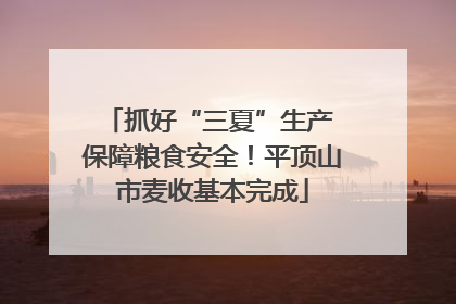 抓好“三夏”生产 保障粮食安全！平顶山市麦收基本完成