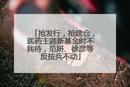 抢发行，抢建仓，医药主题新基金时不我待，范妍、徐彦等反按兵不动
