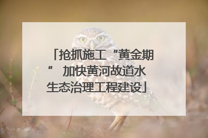 抢抓施工“黄金期” 加快黄河故道水生态治理工程建设