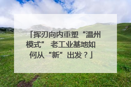 挥刃向内重塑“温州模式” 老工业基地如何从“新”出发？