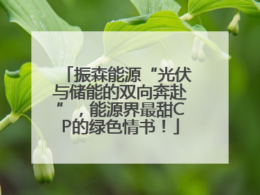 振森能源“光伏与储能的双向奔赴”，能源界最甜CP的绿色情书！