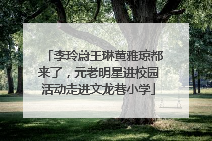 李玲蔚王琳黄雅琼都来了，元老明星进校园活动走进文龙巷小学