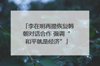 李在明再提恢复韩朝对话合作 强调“和平就是经济”