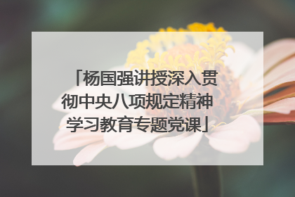 杨国强讲授深入贯彻中央八项规定精神学习教育专题党课