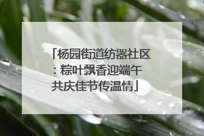杨园街道纺器社区：粽叶飘香迎端午 共庆佳节传温情