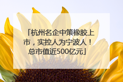 杭州名企中策橡胶上市，实控人为宁波人！总市值近500亿元