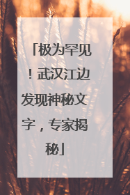 极为罕见！武汉江边发现神秘文字，专家揭秘