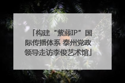 构建“紫藤IP”国际传播体系 泰州党政领导走访李俊艺术馆