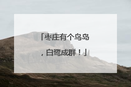 枣庄有个鸟岛，白鹭成群！