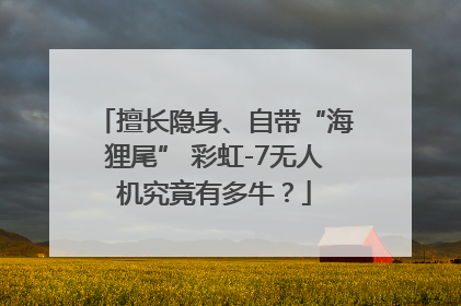 擅长隐身、自带“海狸尾” 彩虹-7无人机究竟有多牛？