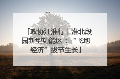 政协江淮行｜淮北段园新型功能区：“飞地经济”拔节生长