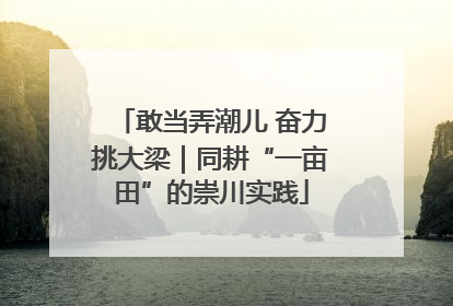 敢当弄潮儿 奋力挑大梁｜同耕“一亩田”的崇川实践