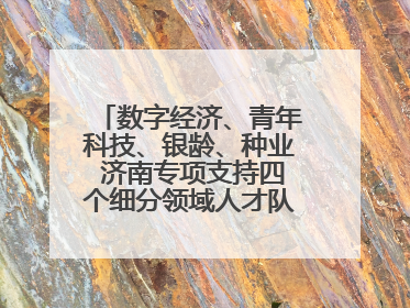 数字经济、青年科技、银龄、种业 济南专项支持四个细分领域人才队伍建设