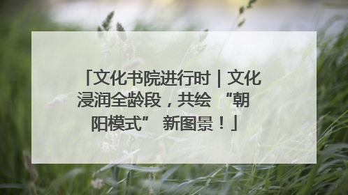 文化书院进行时｜文化浸润全龄段，共绘 “朝阳模式” 新图景！