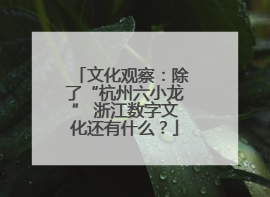 文化观察：除了“杭州六小龙” 浙江数字文化还有什么？