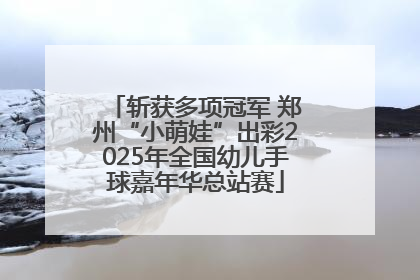 斩获多项冠军 郑州“小萌娃”出彩2025年全国幼儿手球嘉年华总站赛