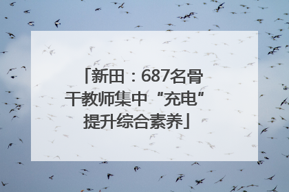新田：687名骨干教师集中“充电” 提升综合素养
