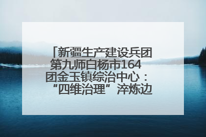 新疆生产建设兵团第九师白杨市164团金玉镇综治中心：“四维治理”淬炼边疆“枫桥样本”