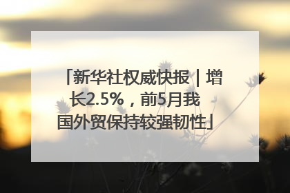 新华社权威快报｜增长2.5%，前5月我国外贸保持较强韧性