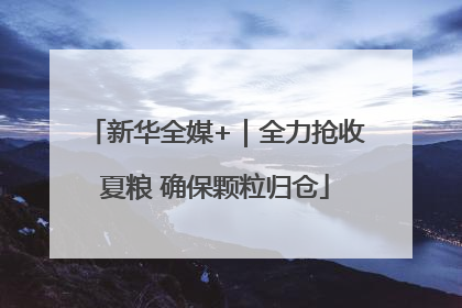 新华全媒+｜全力抢收夏粮 确保颗粒归仓