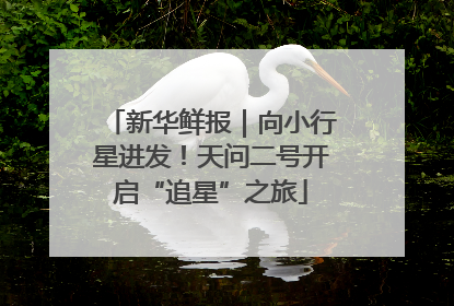 新华鲜报｜向小行星进发！天问二号开启“追星”之旅