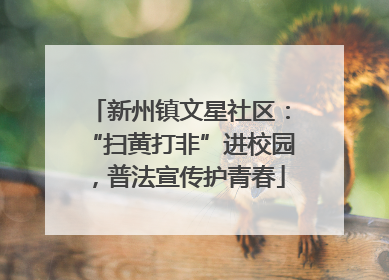 新州镇文星社区：“扫黄打非”进校园，普法宣传护青春