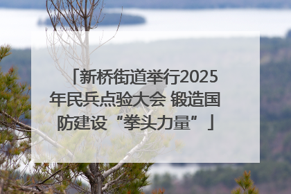 新桥街道举行2025年民兵点验大会 锻造国防建设“拳头力量”