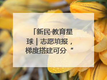 新民·教育星球｜志愿填报，梯度搭建可分“冲稳保”三档