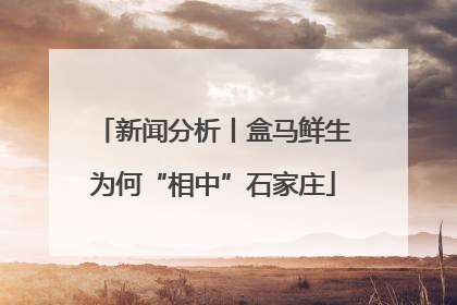 新闻分析丨盒马鲜生为何“相中”石家庄