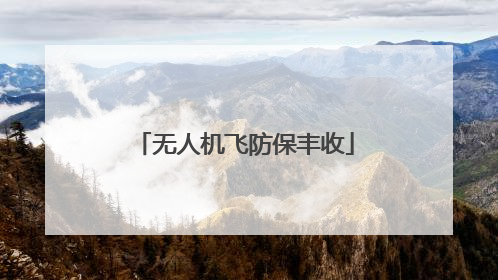 无人机飞防保丰收