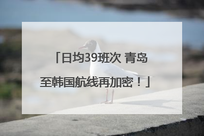 日均39班次 青岛至韩国航线再加密！