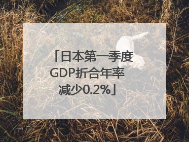 日本第一季度GDP折合年率减少0.2%