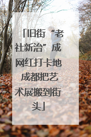 旧街“老社新治”成网红打卡地 成都把艺术展搬到街头