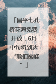 昌平七孔桥花海免费开放，6月中旬将到达“颜值巅峰”