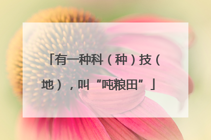 有一种科（种）技（地），叫“吨粮田”