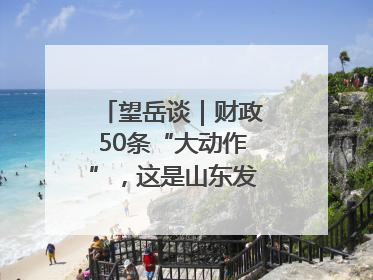 望岳谈｜财政50条“大动作”，这是山东发展民企的决心