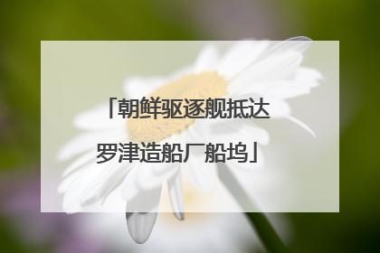 朝鲜驱逐舰抵达罗津造船厂船坞