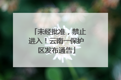 未经批准，禁止进入！云南一保护区发布通告