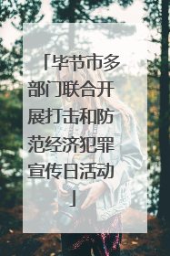 毕节市多部门联合开展打击和防范经济犯罪宣传日活动