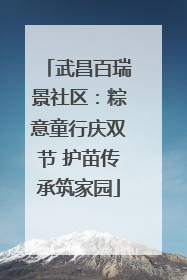 武昌百瑞景社区：粽意童行庆双节 护苗传承筑家园