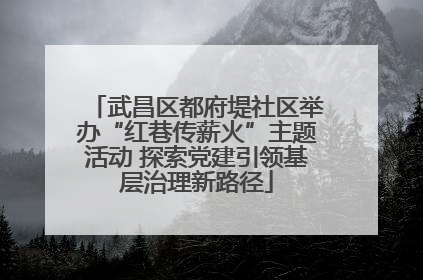 武昌区都府堤社区举办“红巷传薪火”主题活动 探索党建引领基层治理新路径