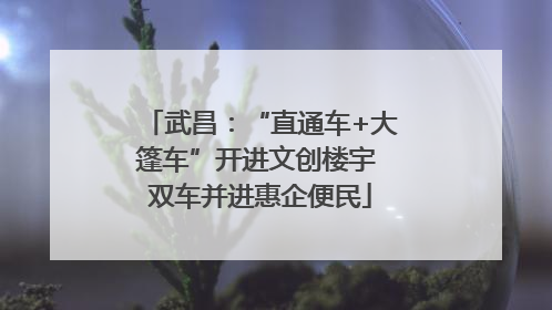 武昌：“直通车+大篷车”开进文创楼宇 双车并进惠企便民