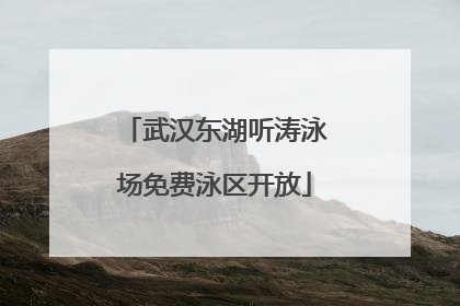 武汉东湖听涛泳场免费泳区开放