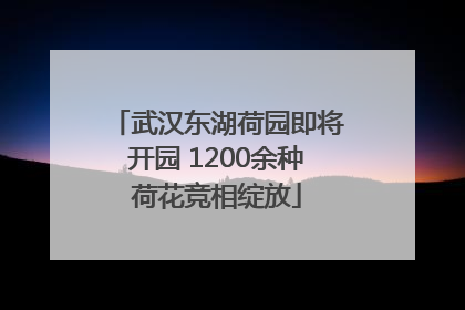 武汉东湖荷园即将开园 1200余种荷花竞相绽放