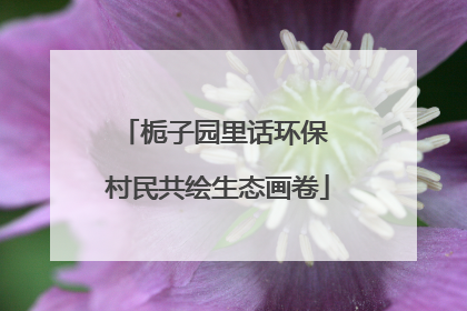 栀子园里话环保 村民共绘生态画卷