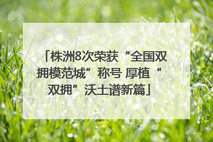 株洲8次荣获“全国双拥模范城”称号 厚植“双拥”沃土谱新篇