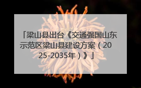 梁山县出台《交通强国山东示范区梁山县建设方案（2025-2035年）》