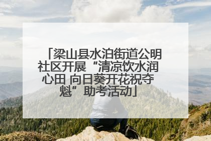 梁山县水泊街道公明社区开展“清凉饮水润心田 向日葵开花祝夺魁”助考活动